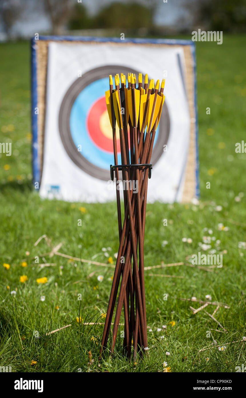A bunch of arrows used by traditional archers. Stock Photo