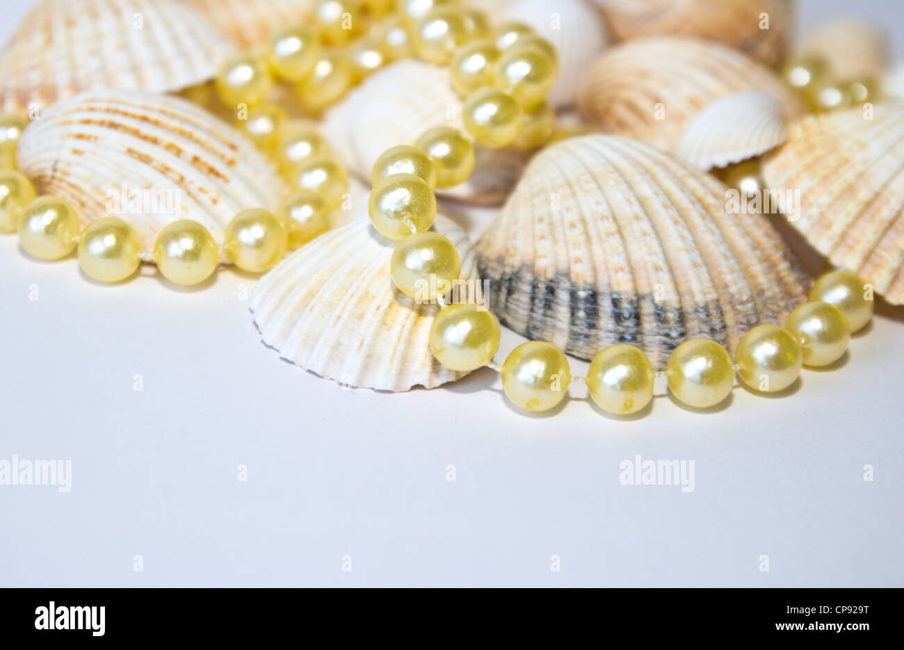 sea shells with pearls Stock Photo Alamy