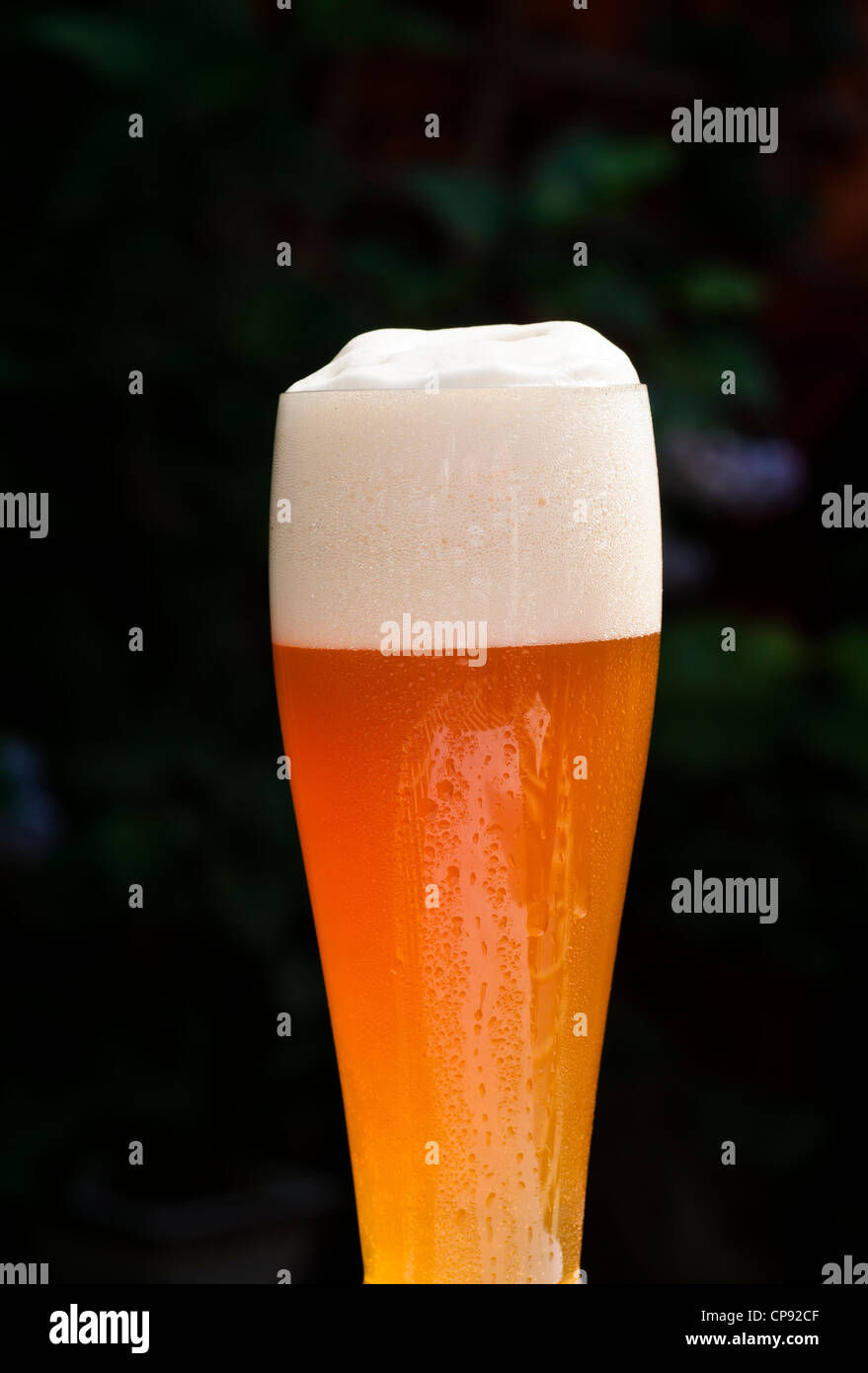 Hefeweizen froth fresh bubbles yeast hires stock photography and