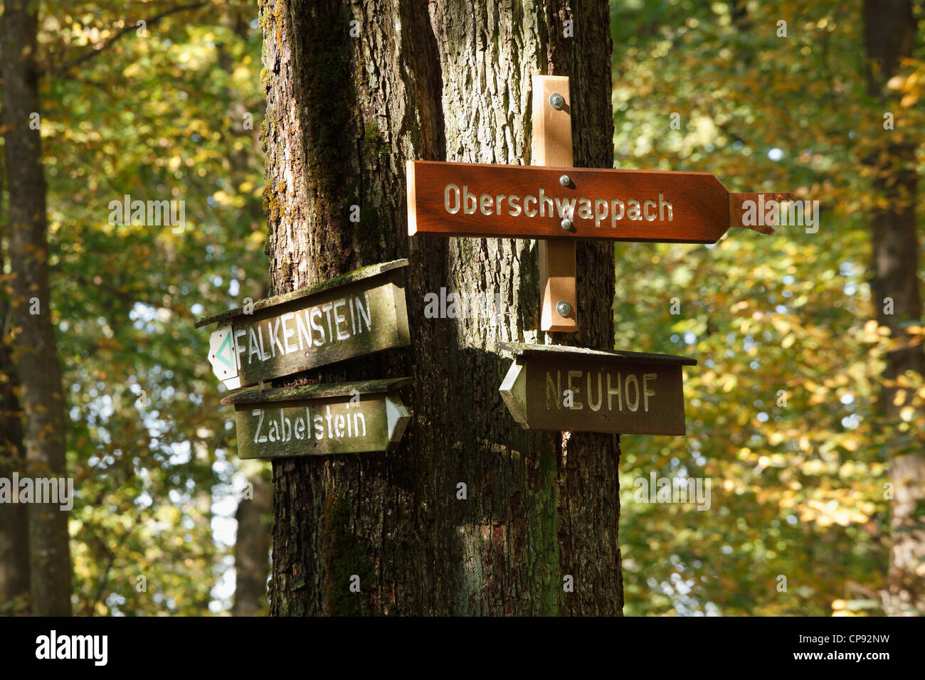 Germany, Bavaria, Signposts in forest Stock Photo