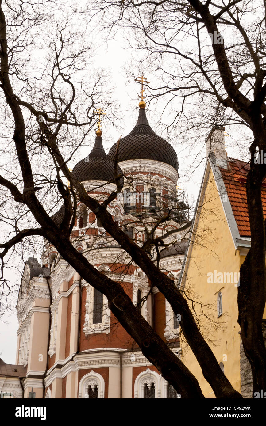 Aleksander Nevski Cathedral in Tallinn, Estonia. Designed by Mikhail Stock  Photo - Alamy