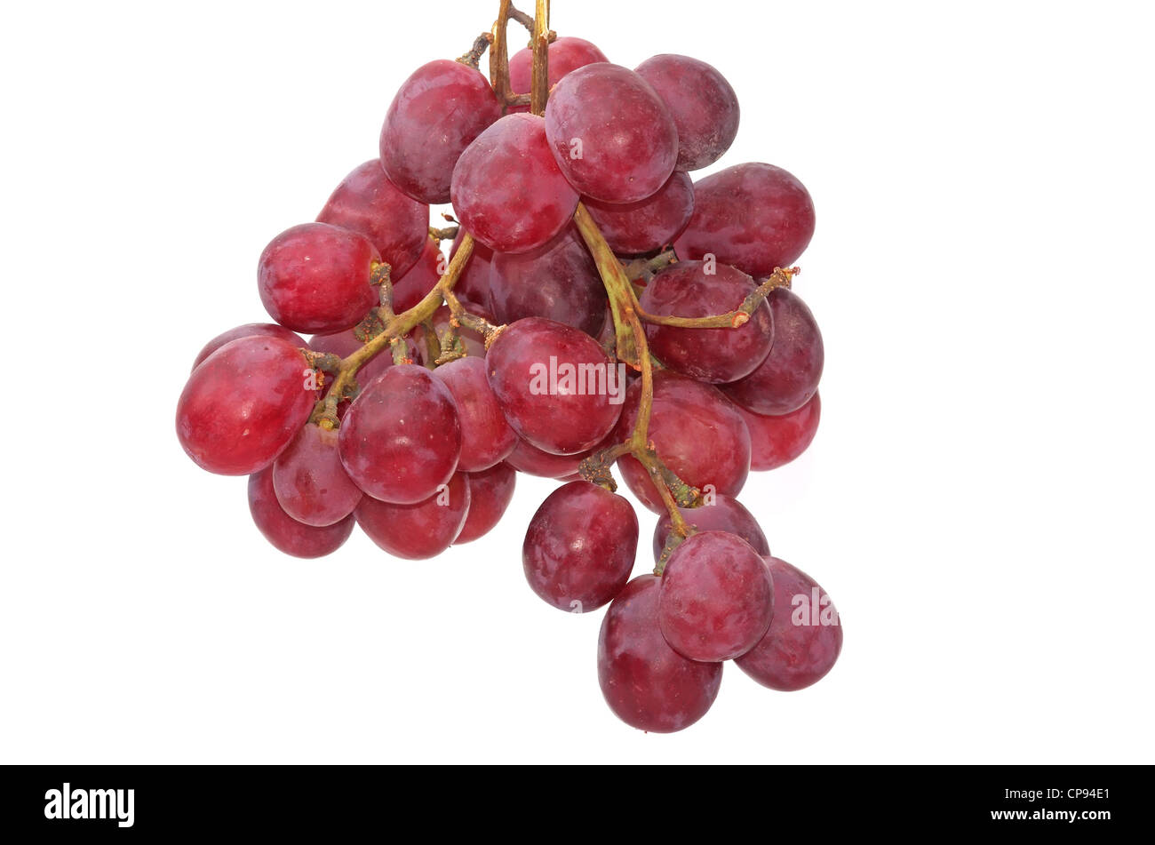 Rose grape on a white background Stock Photo Alamy