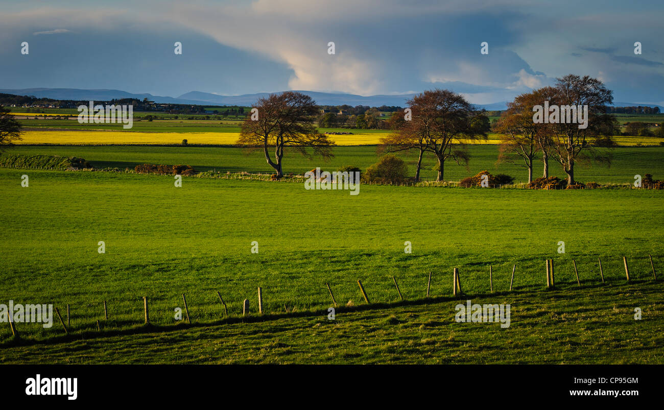 Landscape near the village of Nigg in the Cromarty Firth Scotland Stock Photo