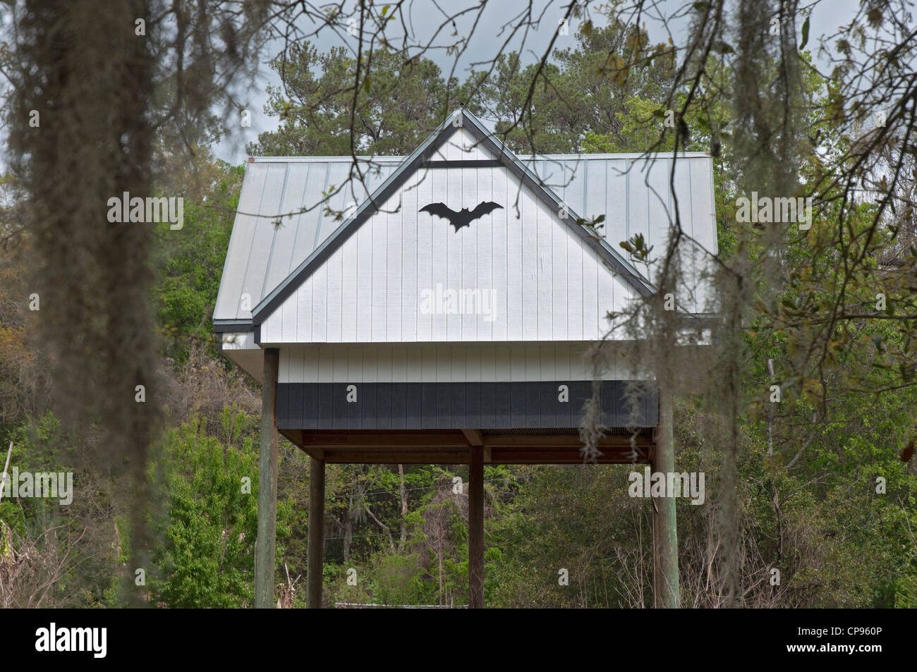 Bat house complex at the University of Florida Gainesville. Stock Photo