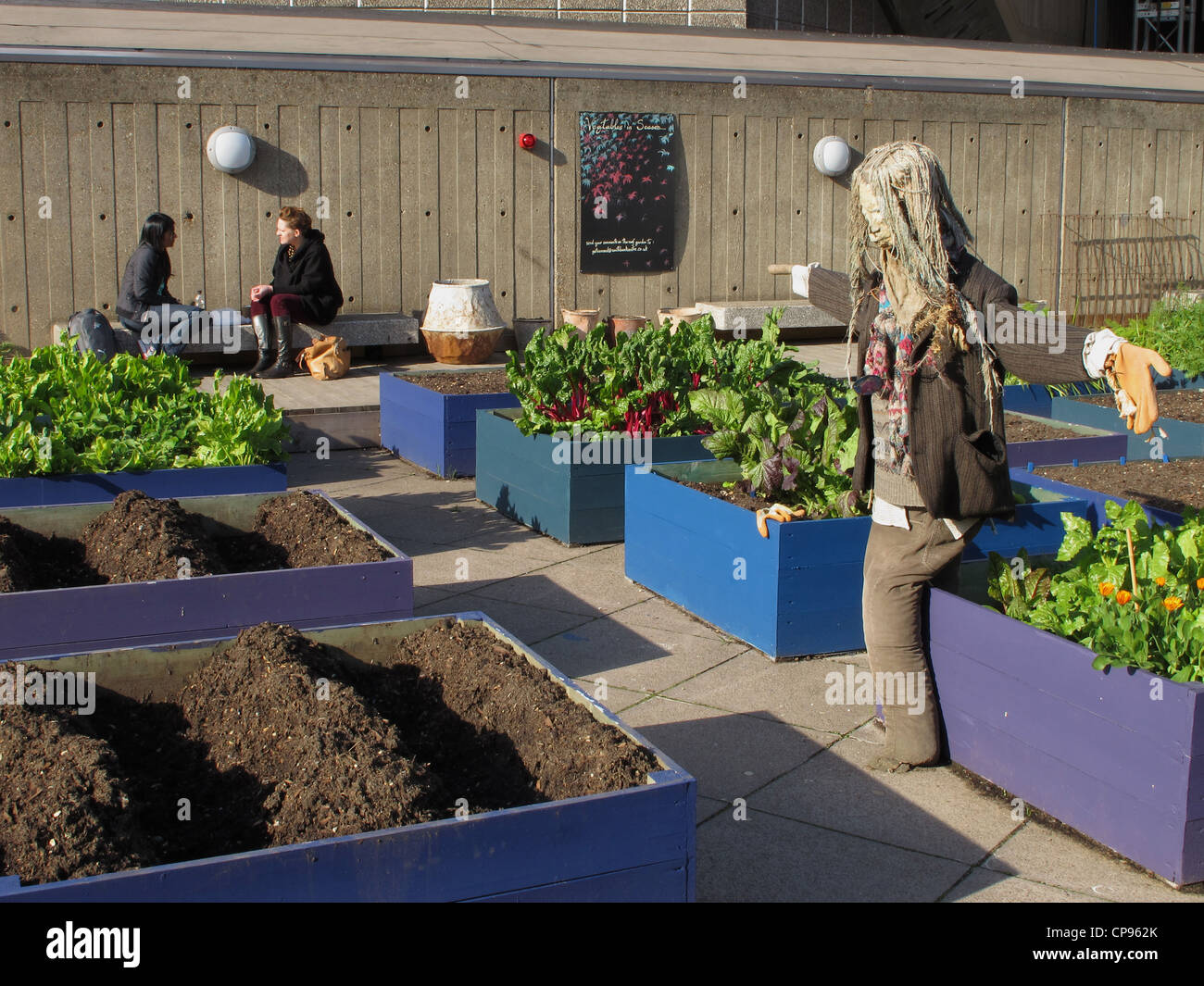 Roof terrace garden at the South Bank centre in London, UK Stock Photo