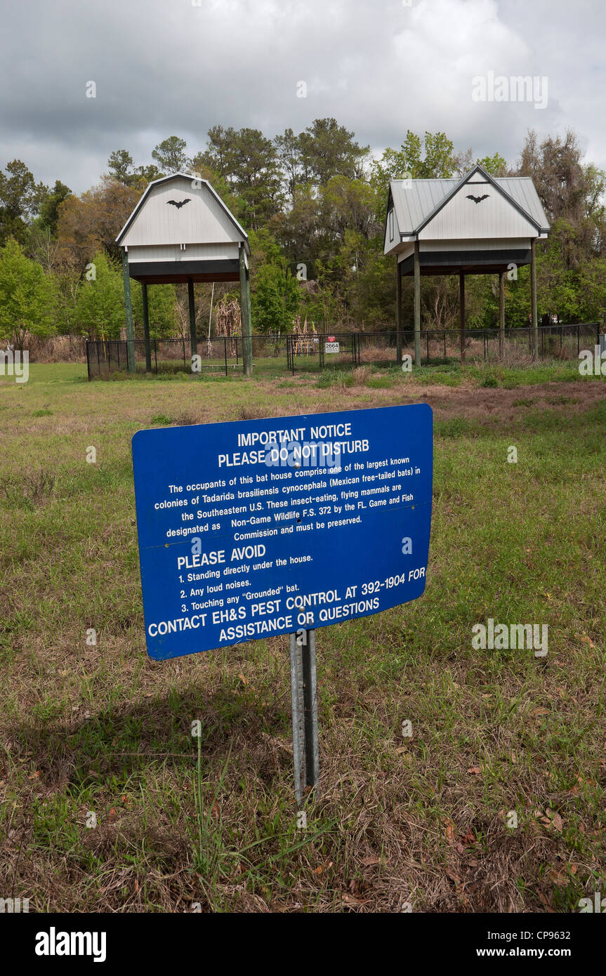 Bat house complex at the University of Florida Gainesville Stock Photo