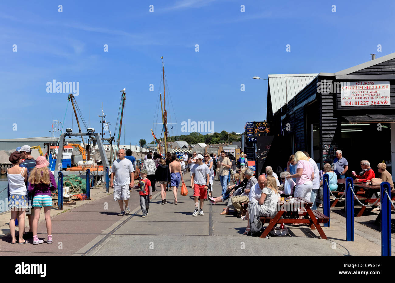 Whitstable Shellfish Cardium shellfish whitstable harbour hi-res stock photography and ...