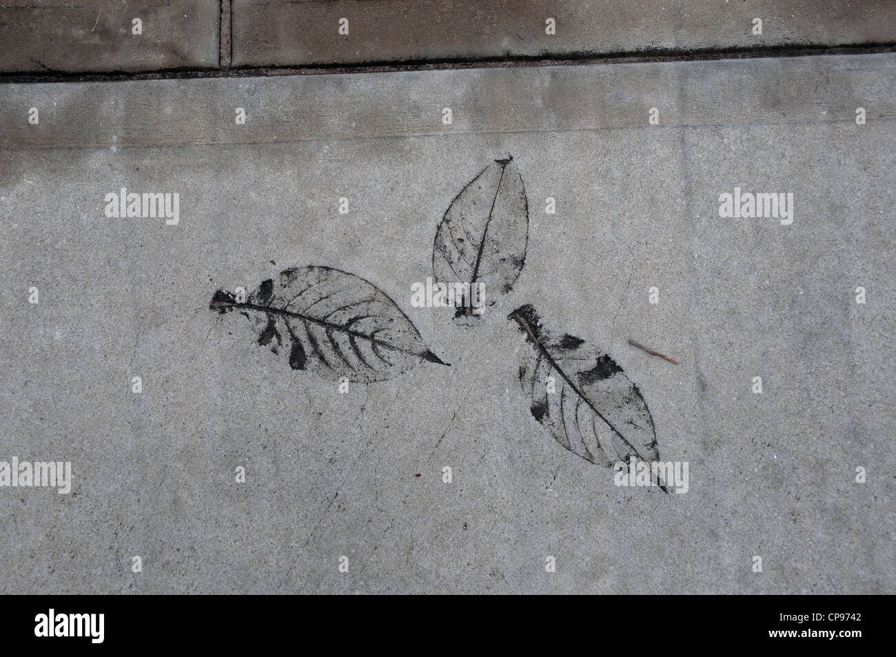 Pressed concrete hires stock photography and images Alamy