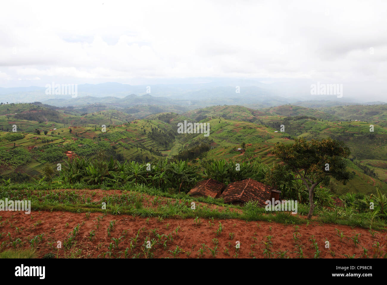 Terrace farming rwanda hires stock photography and images Alamy
