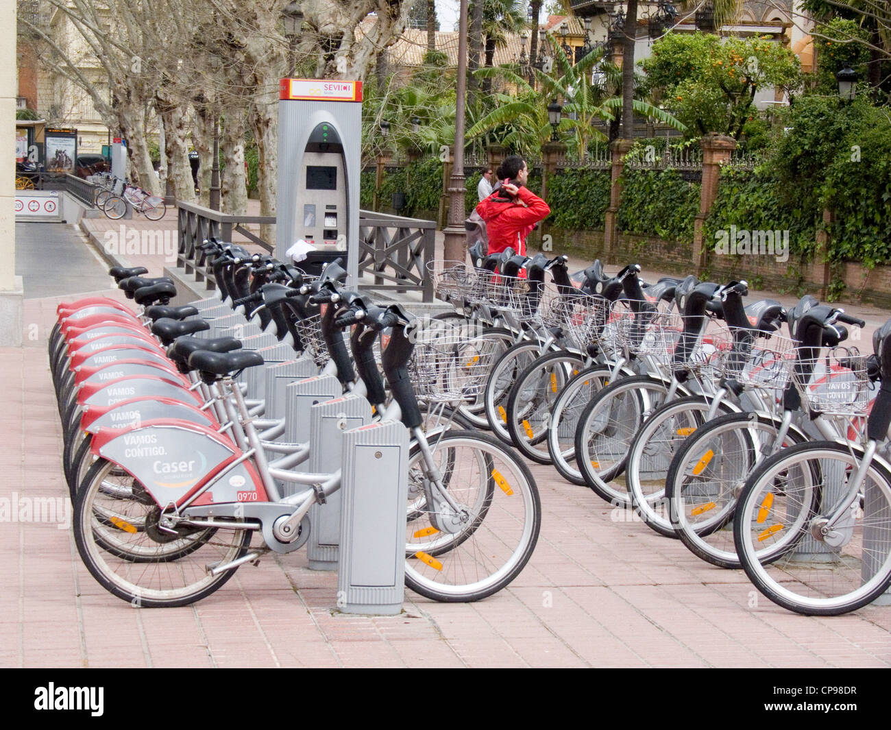 Bike Rental, Seville Stock Photo - Bike Rental Seville CP98DR
