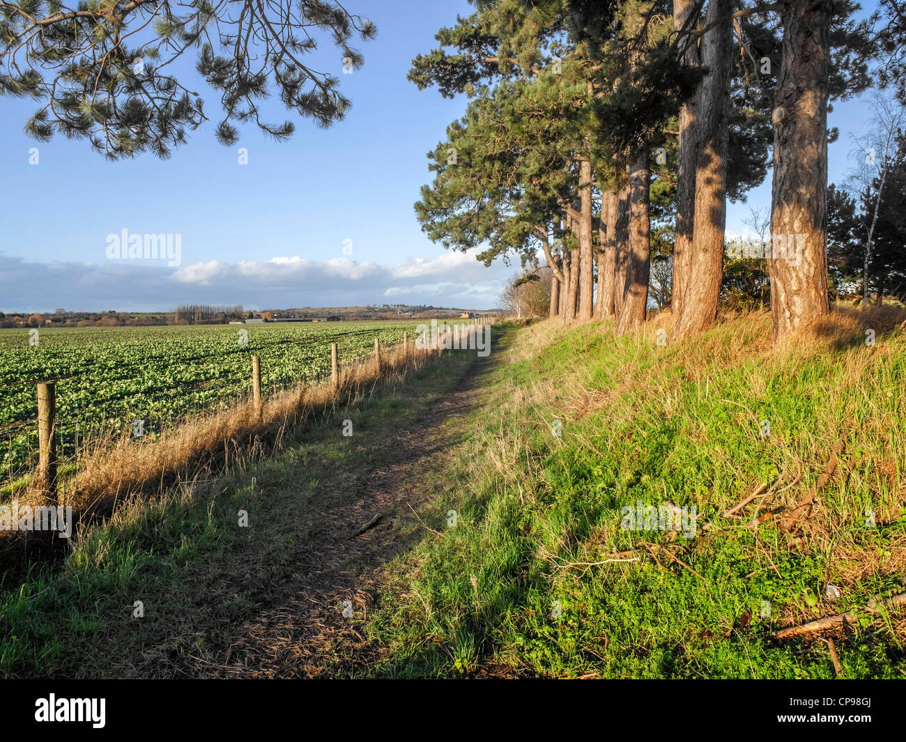 a footpath and public bridleway through the countryside Stock Photo - Alamy