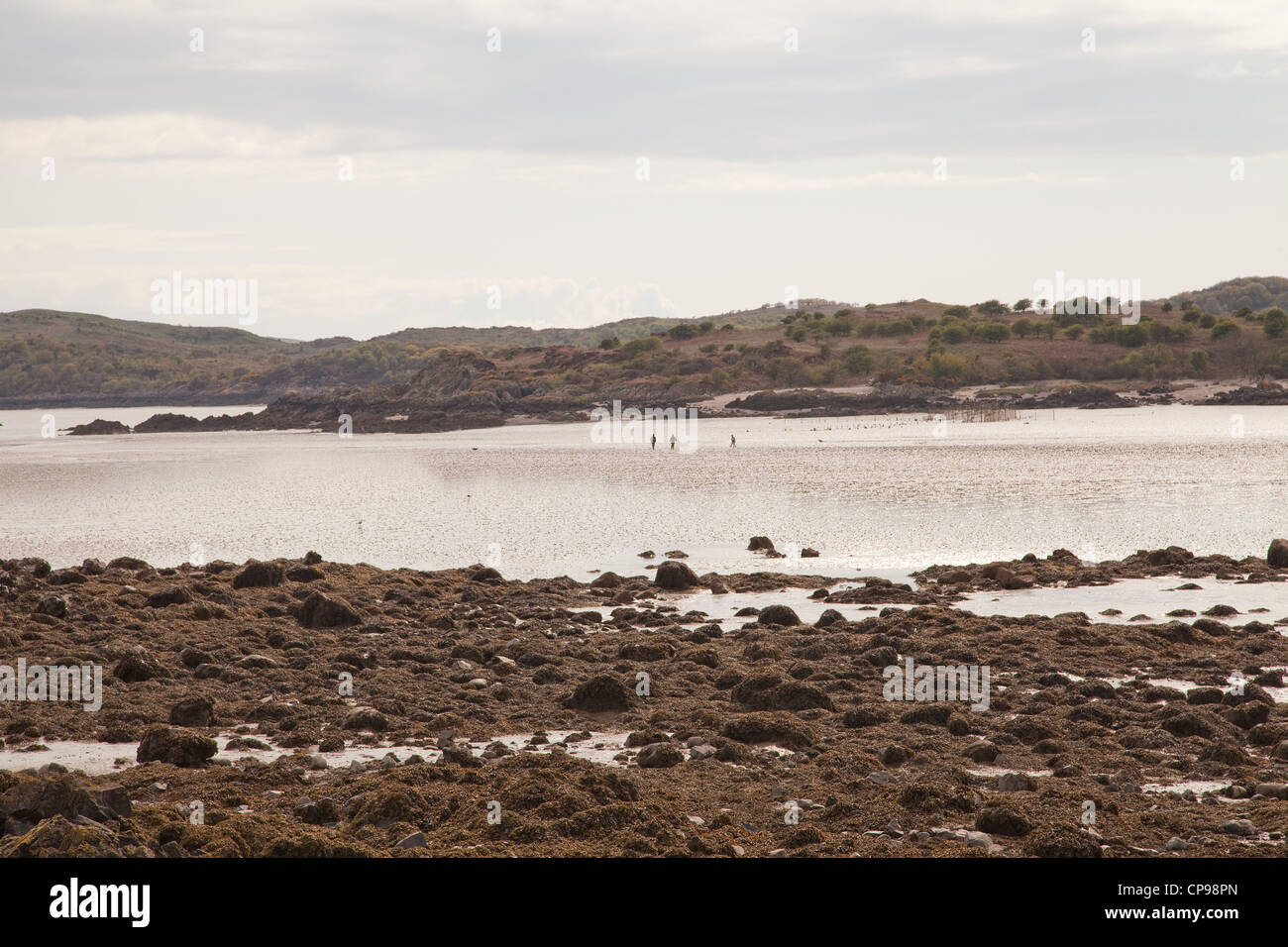 Solway firth southern Scotland, near the village of Rockliff. Stock Photo