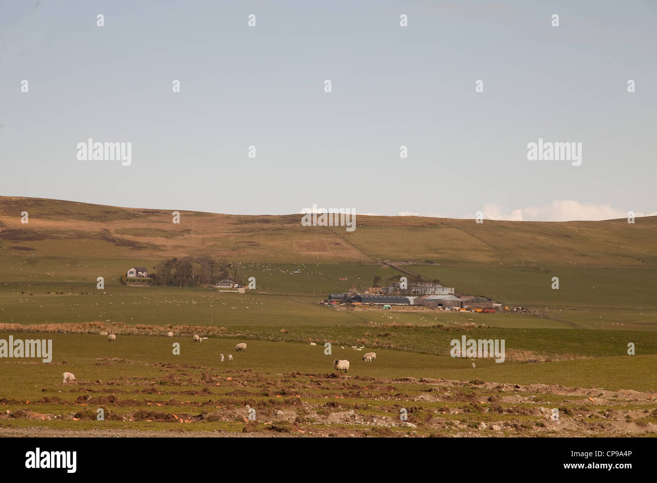 highland farm stead ,sheep farming is big in scotland because of the harsh landscape and  its extreme winters . Stock Photo
