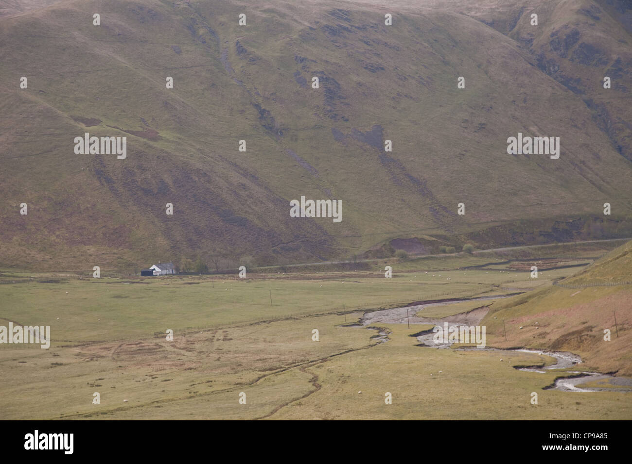 Farm house, in the Clyde in the scottish region of Dumfries and Galloway . Stock Photo