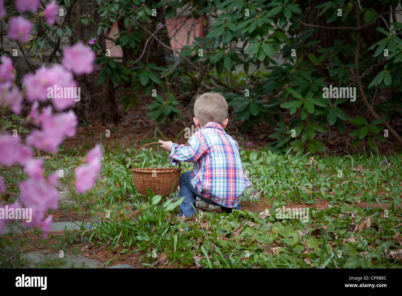 Young Boy With Basket Kneeling in Garden Stock Photo