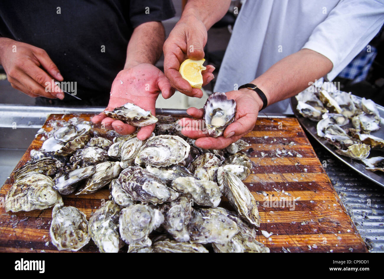 Oyster australia shucking hires stock photography and images Alamy