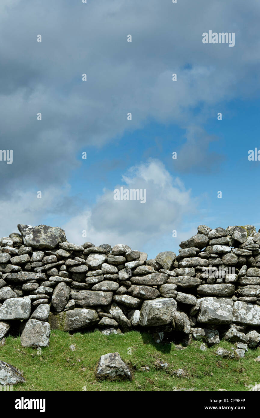 Dry stone wall, Dartmoor National Park, Devon, England Stock Photo