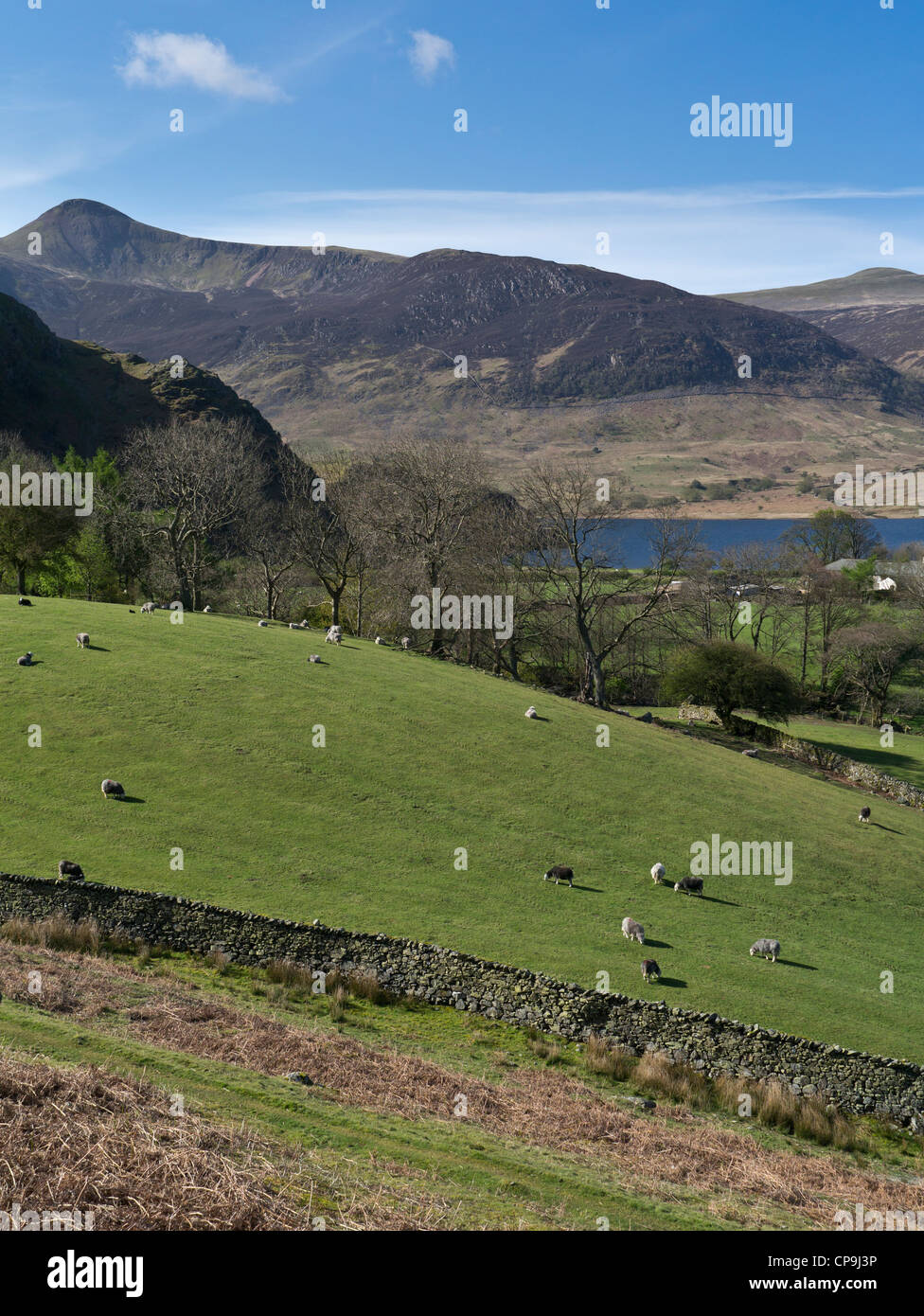 Field and fell, lake and mountain. The beautiful scenery of  Rannerdale in the Buttermere valley in the English Lakes Stock Photo