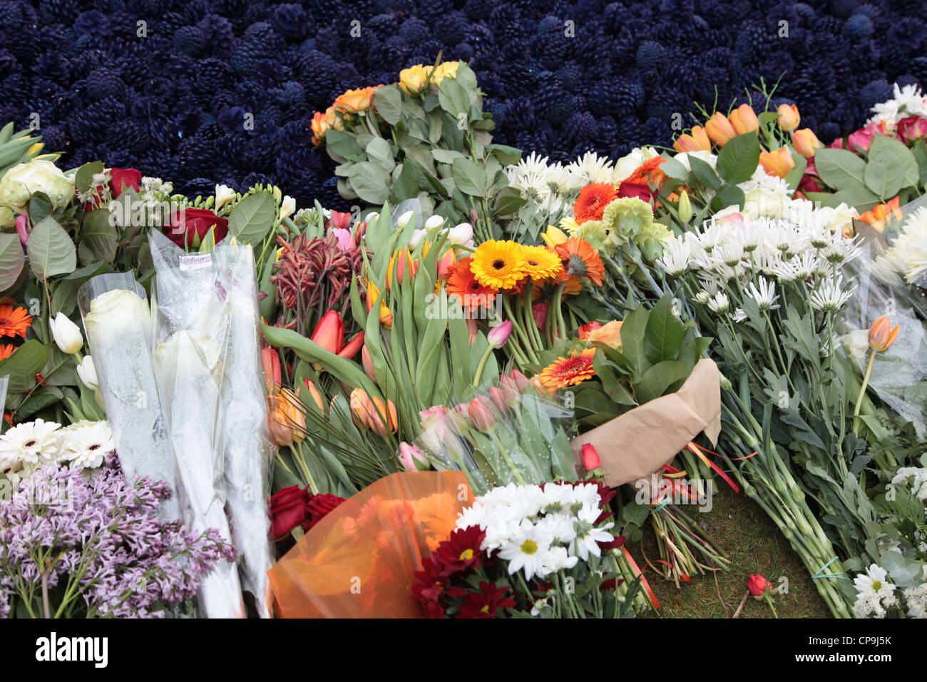 The flowers of war hi-res stock photography and images - Alamy