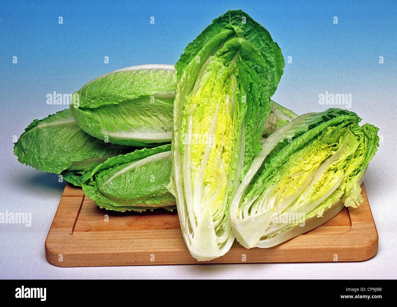 Organic salad vegetables - cos lettuce Stock Photo