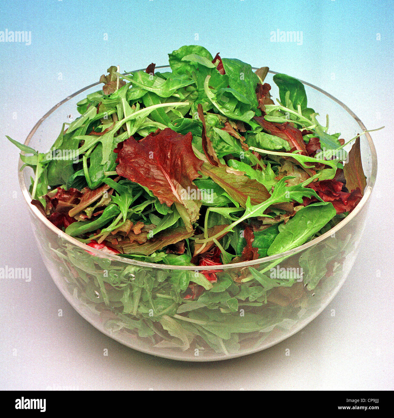 Organic salad vegetables - healthy eating Stock Photo