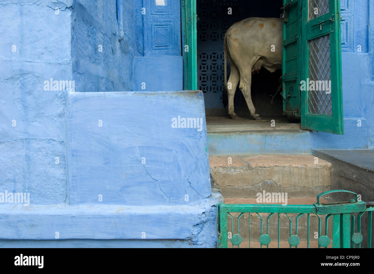 The walls of dwellings inside the old city of Jodhpur are painted blue to keep the narrow lanes cool and free of mosquitos, Jodhpur, Rajasthan, India Stock Photo