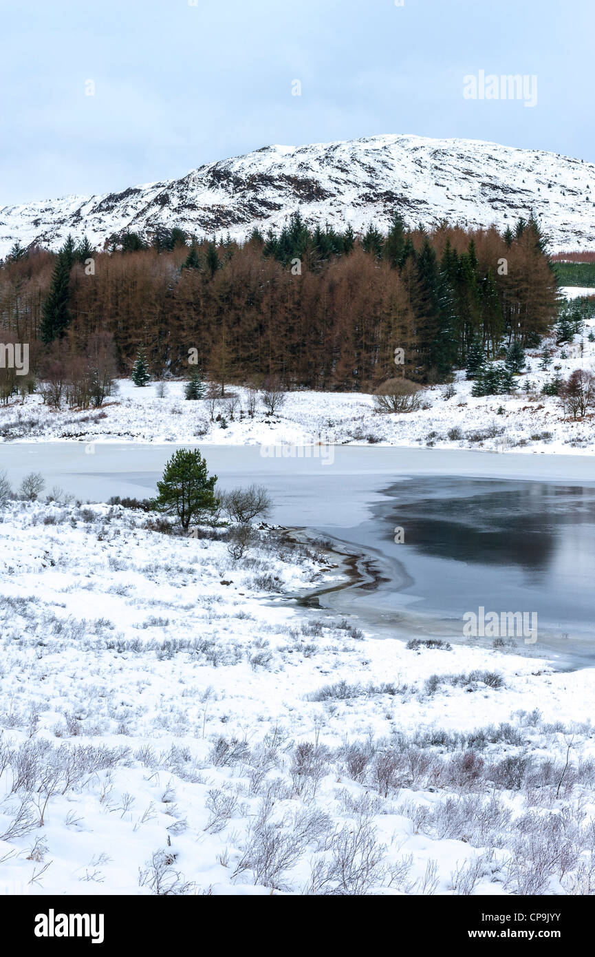 Winter on Craignell, Galloway Forest Park, Galloway, Scotland, UK Stock Photo