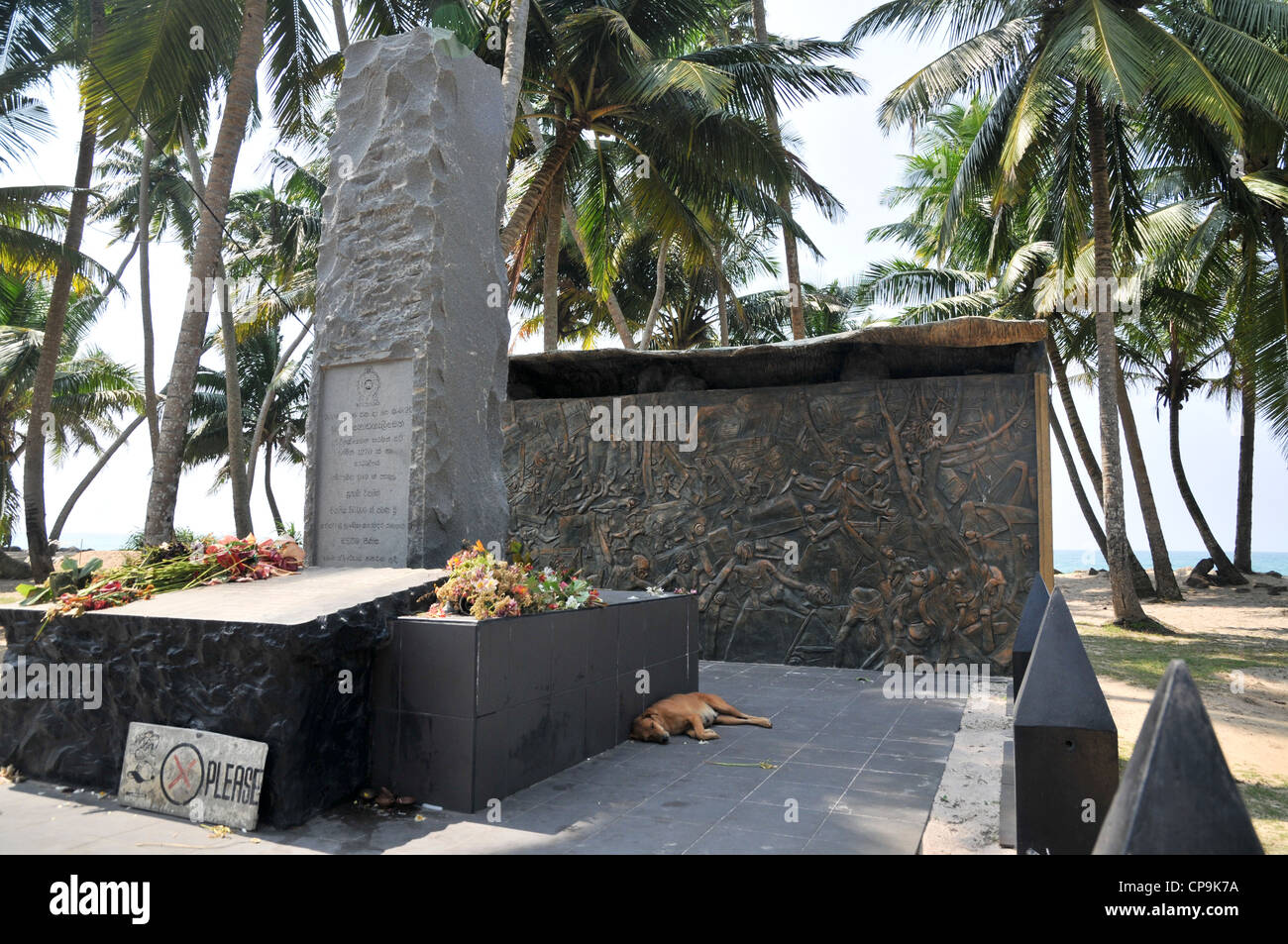 tsunami in sri lanka tsunami in sri lanka