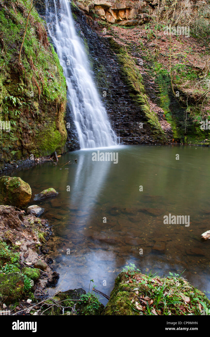 Falling Foss Waterfall North York Moors National Park Yorkshire England Stock Photo