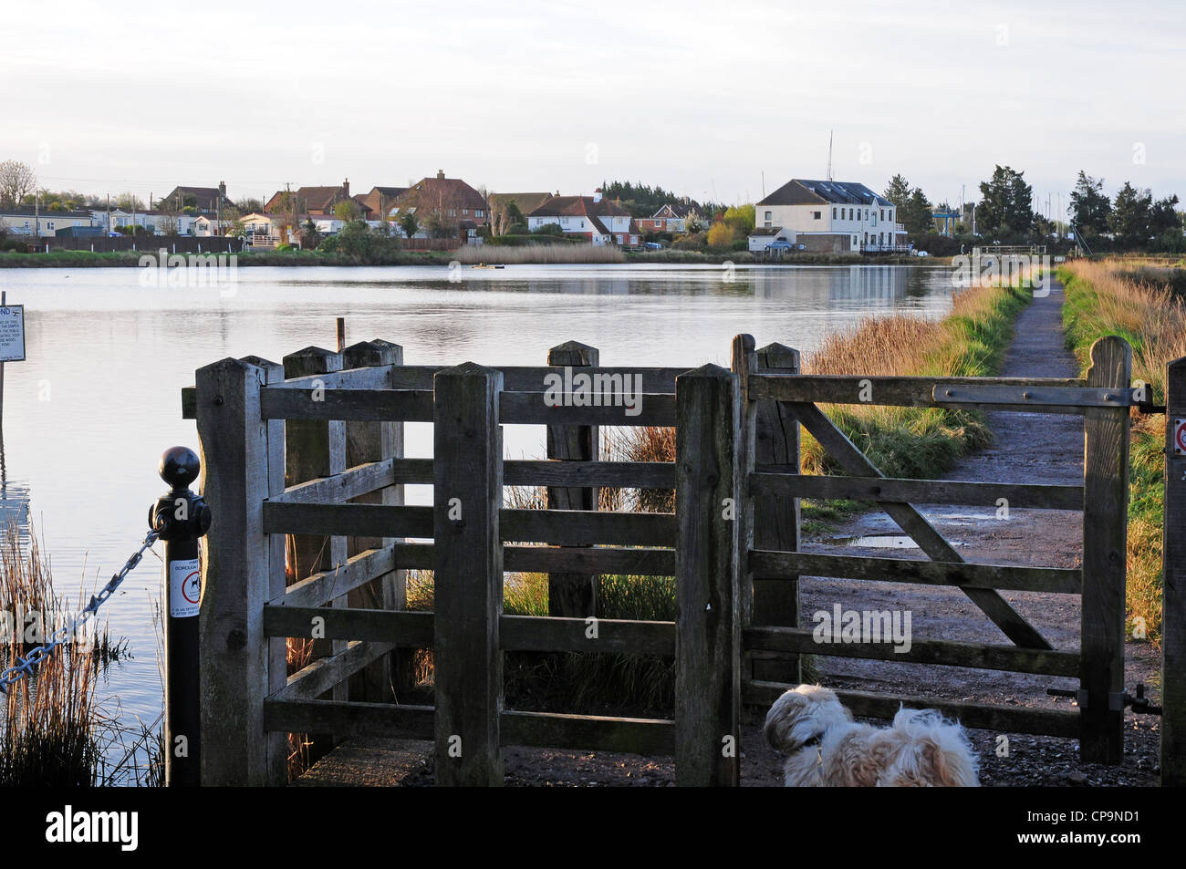 Kissing-gate at entrance to footpath. Slipper Mill Pond. Emsworth. Early morning. Shih Tzu dog. Stock Photo
