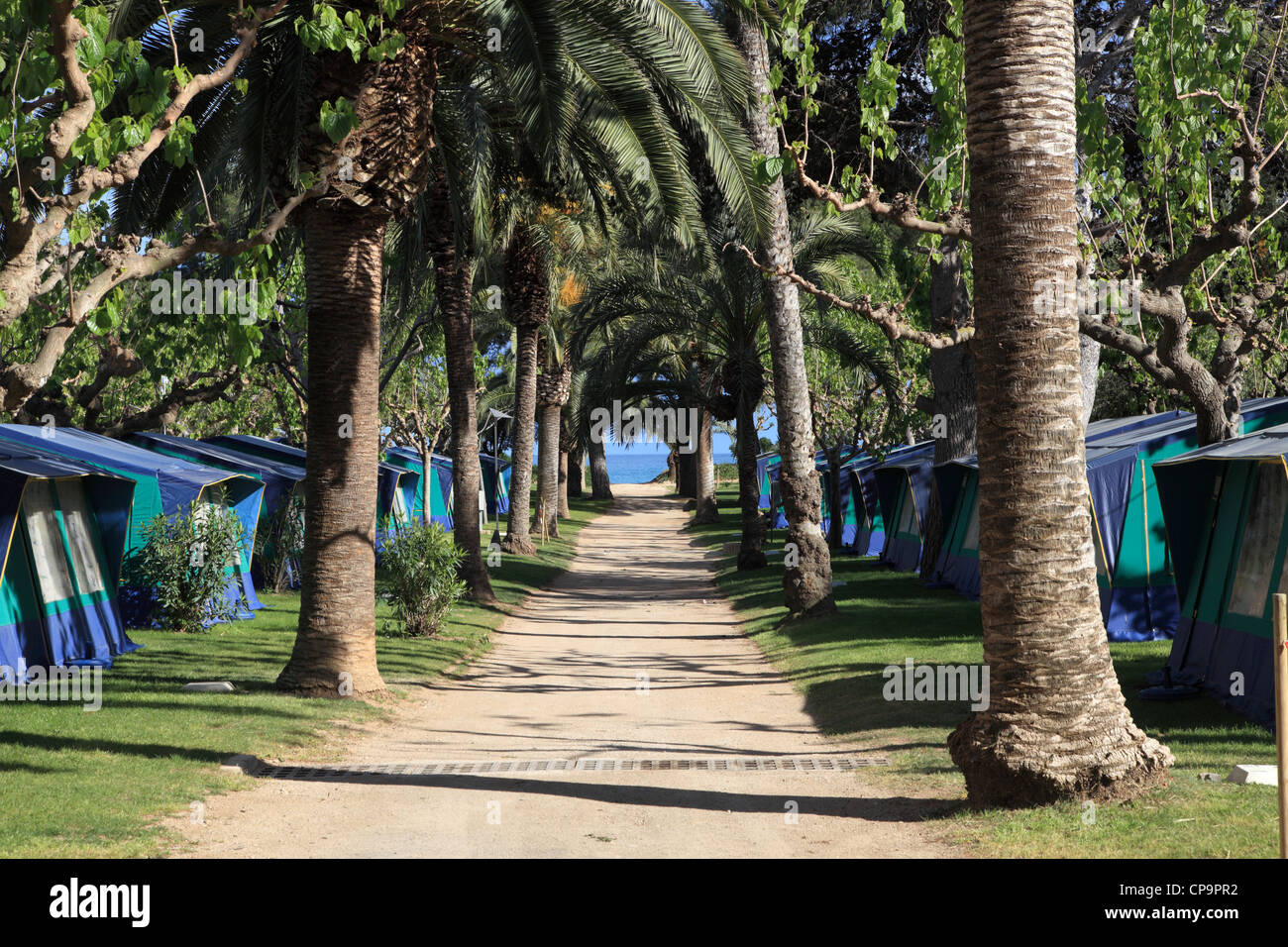Tents on a camping site in Spain Stock Photo Alamy