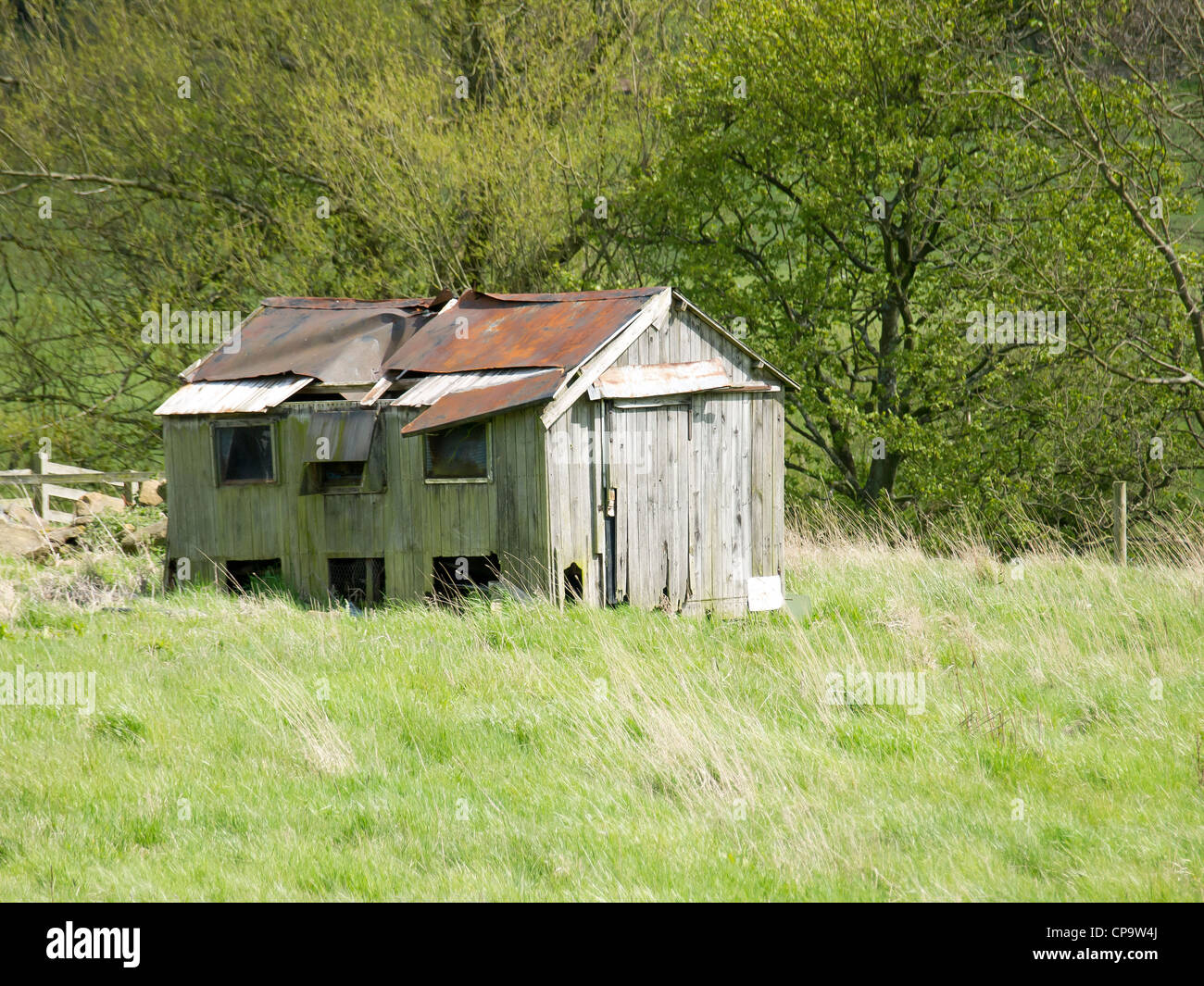 A derelict and decaying chicken shed in a field in Fryupdale in the North Yorkshire Moors National Park in Spring Stock Photo