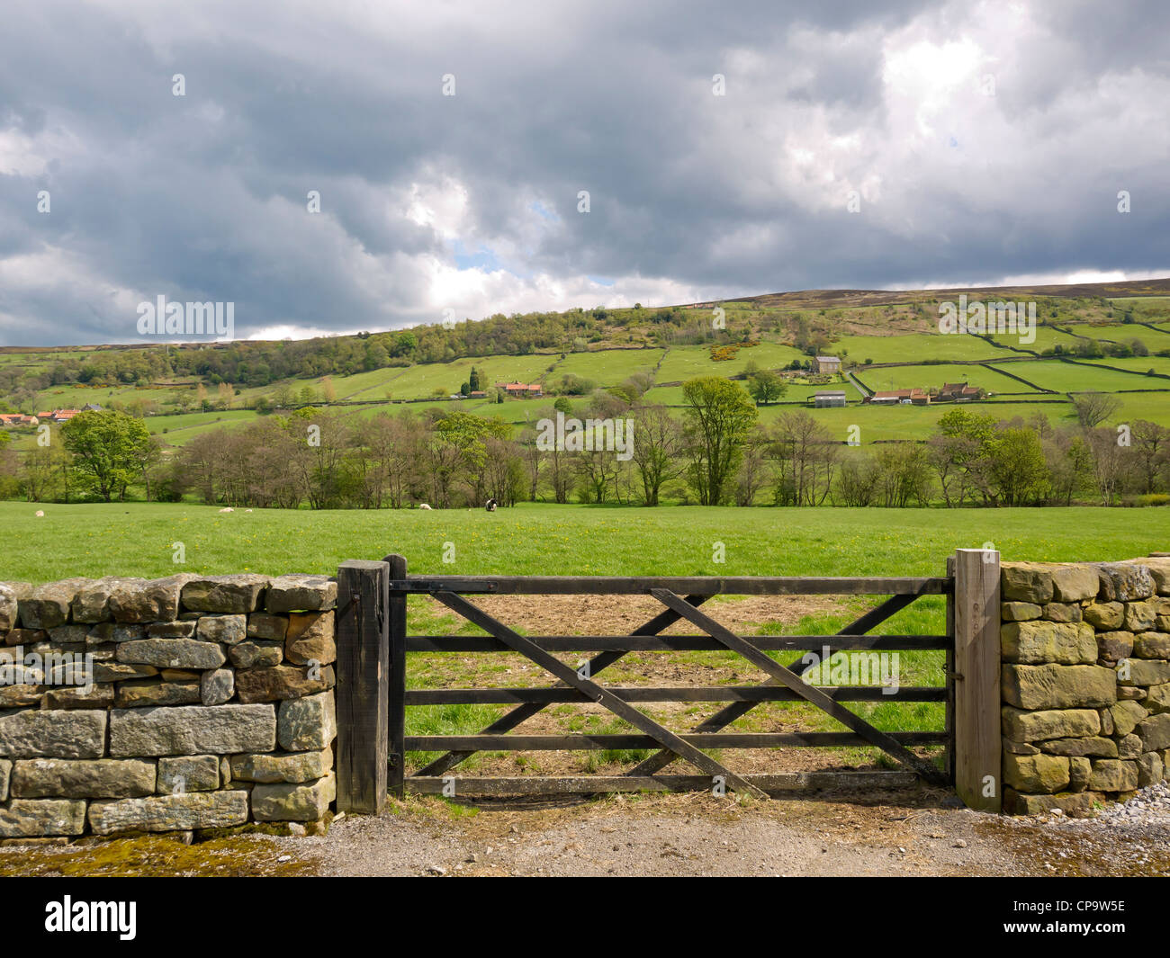 A field entrance with a five barred gate in Fryup Dale in the North Yorkshire Moors National Park in Spring Stock Photo