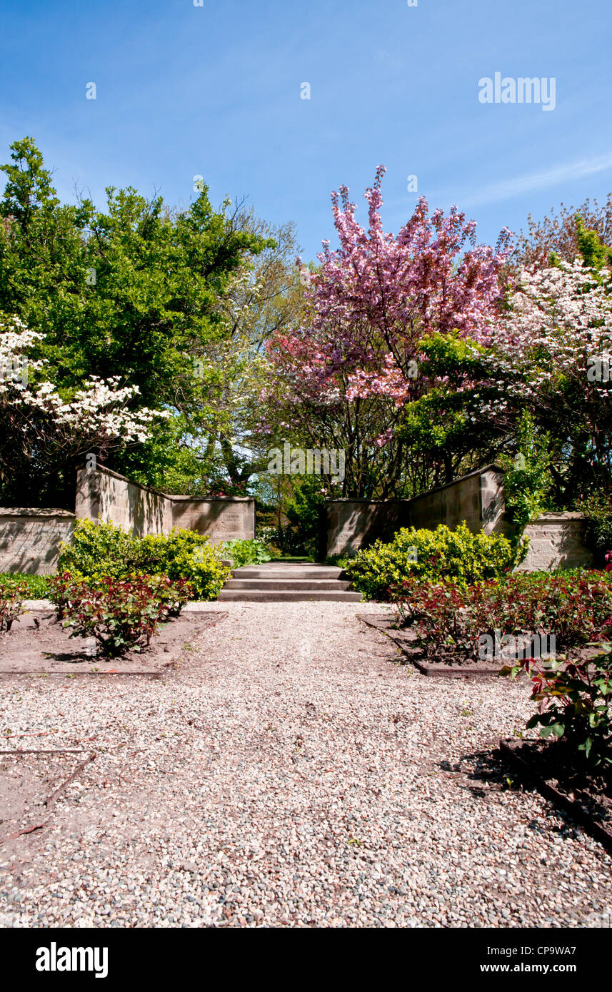 Beautiful flowering trees hi-res stock photography and images - Alamy