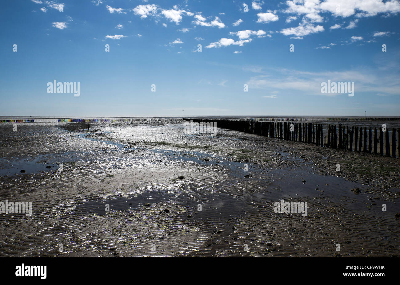 Mudflats at Cudmore Grove Country Park, East Mersea, Essex, England, United Kingdom Stock Photo