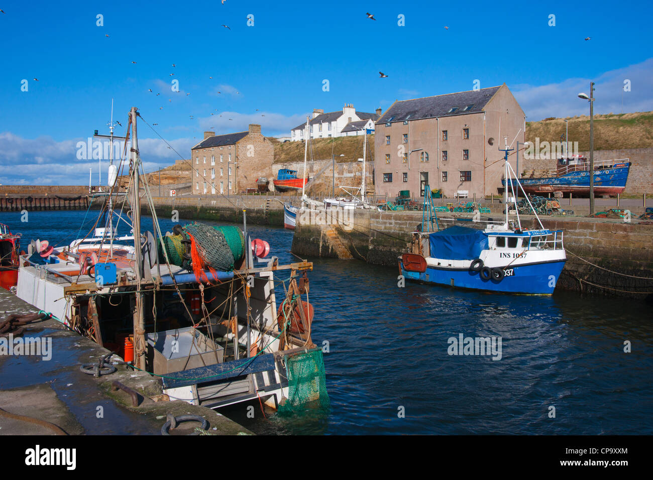 Burghead harbour, Moray Firth, Scotland Stock Photo Alamy