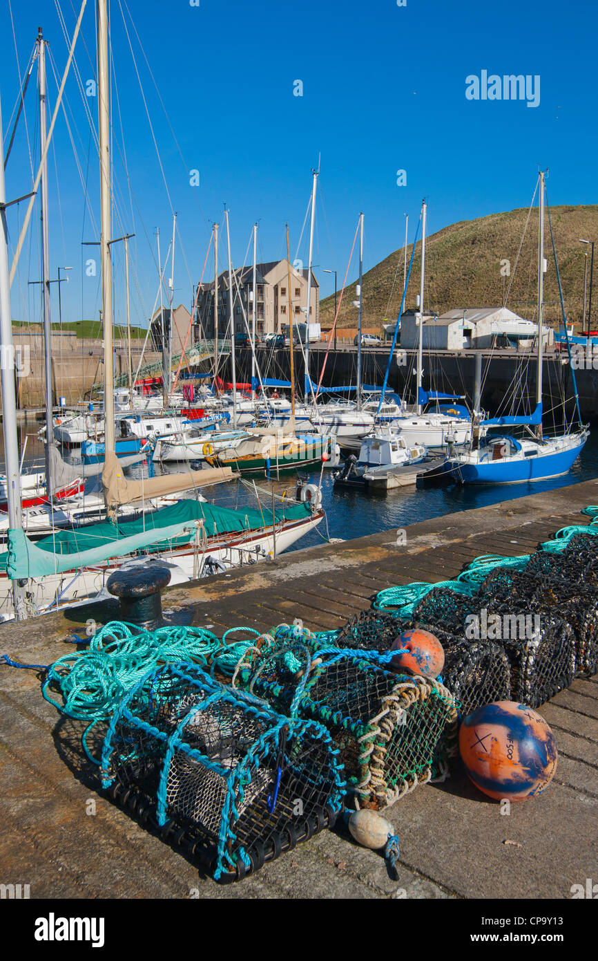 Whitehills harbour, Moray Firth, Scotland Stock Photo Alamy