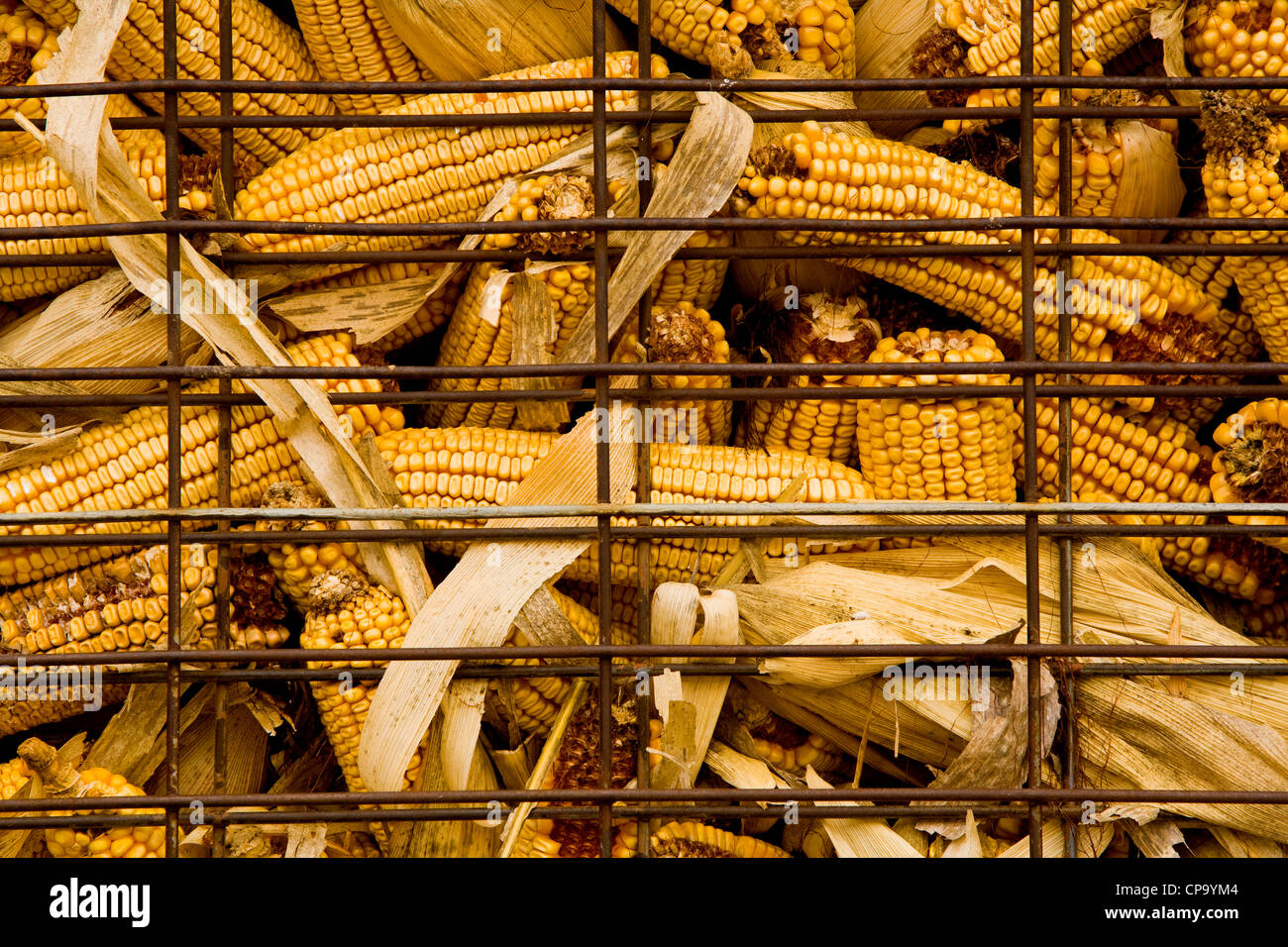 Corn crib hires stock photography and images Alamy