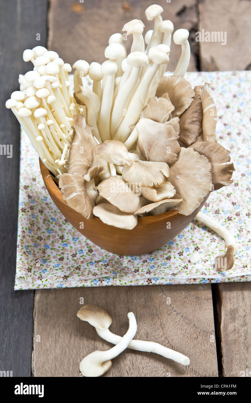 Varieties of mushroom in wood bowl Stock Photo