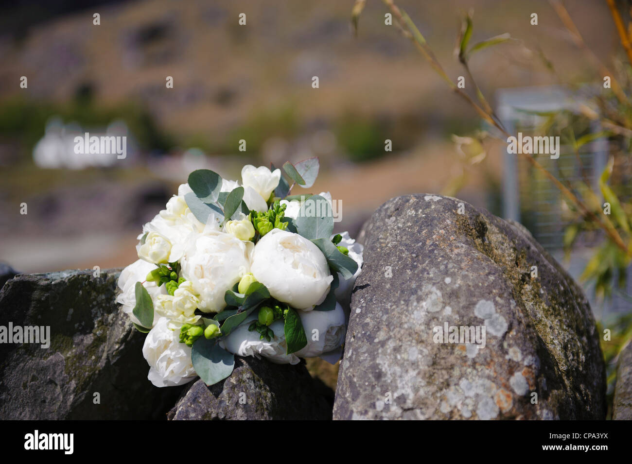 Peony wedding bouquet hi-res stock photography and images - Alamy