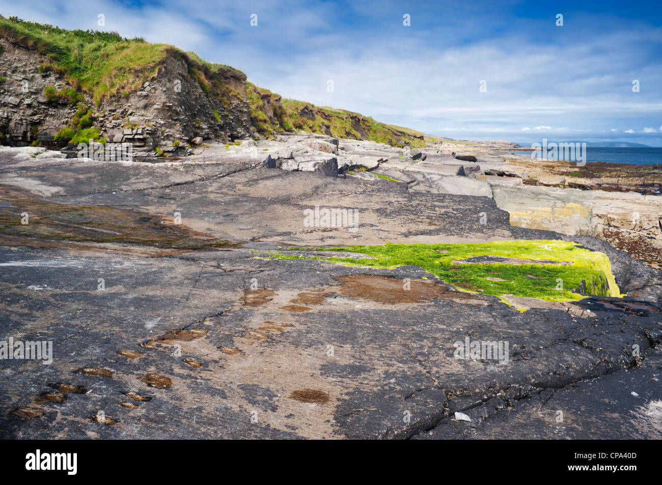 Fossil footprint from an ancient tetrapod (four-legged animal), in Devonian sediments on Valentia Island, County Kerry, Ireland Stock Photo