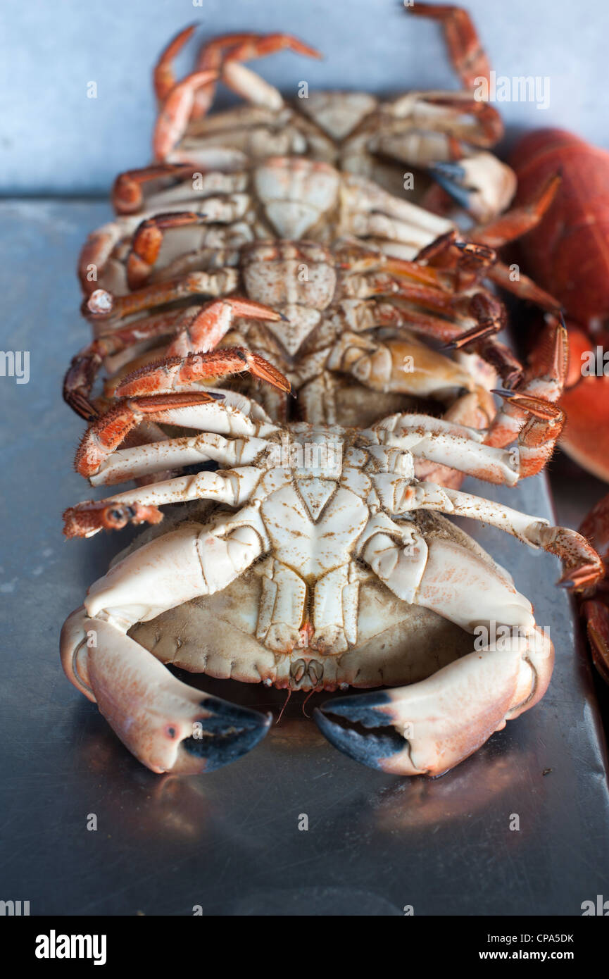 Cooked crabs for sale on a fish stall at Aldeburgh Suffolk UK Stock