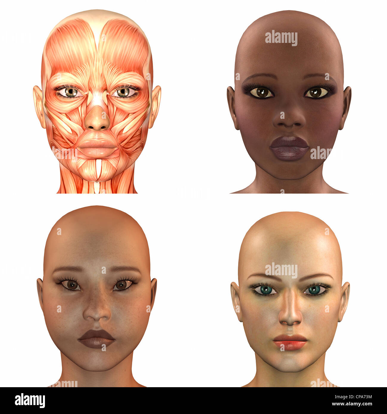 Векторные лица людей. Ai generation. Мышление абстракция. Human language. Человек в машине.