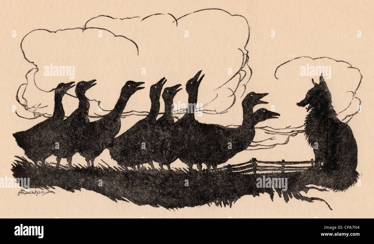Illustration by Arthur Rackham from Grimm's Fairy Tale, The Fox and the Geese. Stock Photo