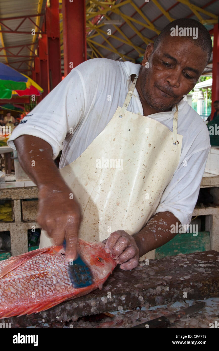 Man descaling fresh Red Snapper fish in the Sir Selwyn Clark fish market, Victoria, Mahe Island, Seychelles Stock Photo