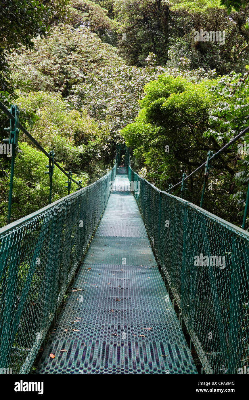Suspension bridge in the Selvatura Park, Monteverde Costa Rica Stock