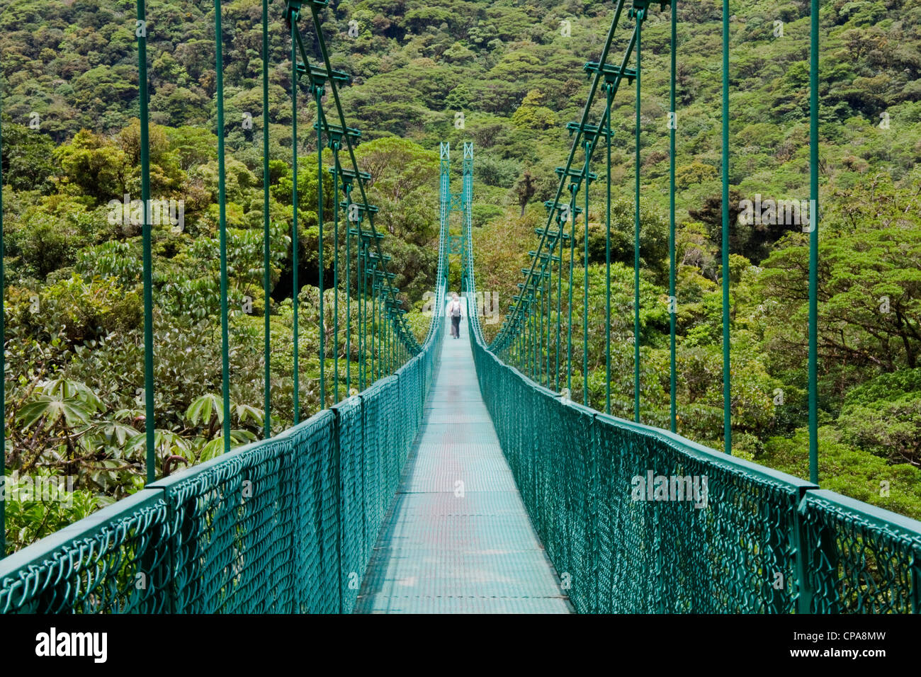 Suspension bridge in the Selvatura Park, Monteverde Costa Rica Stock