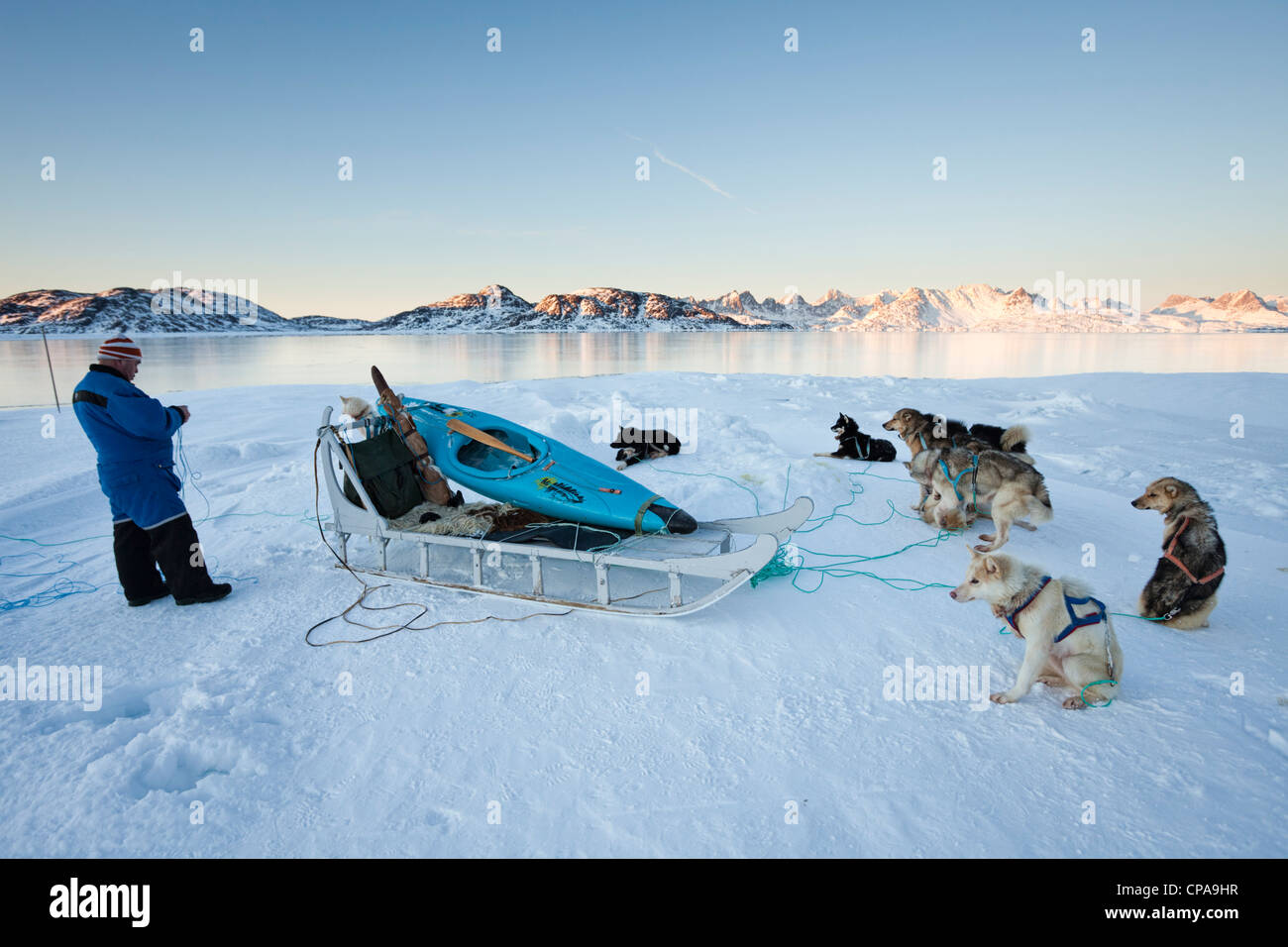 Huskies and sled in Greenland landscape Stock Photo