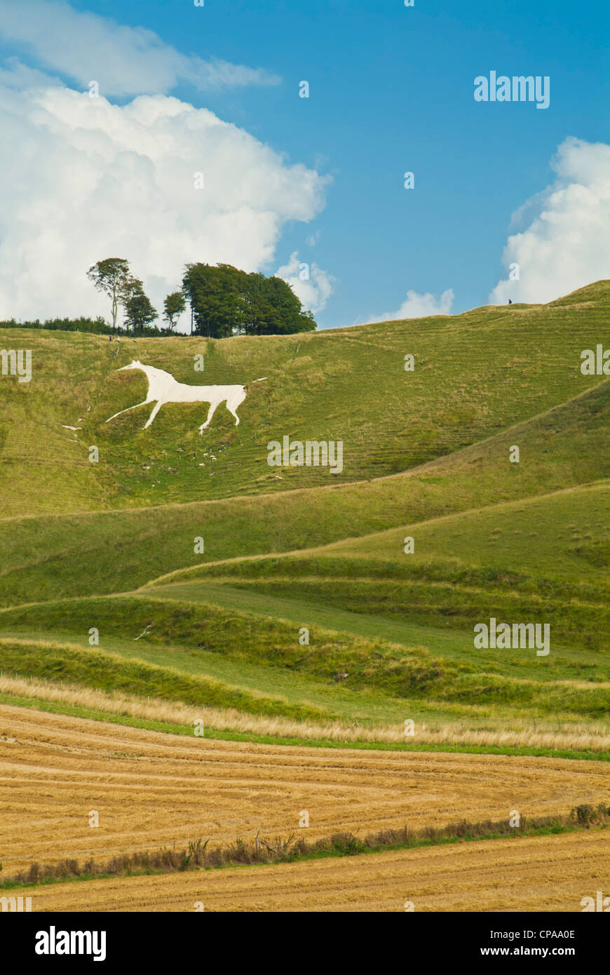 Wiltshire chalk figure hires stock photography and images Alamy