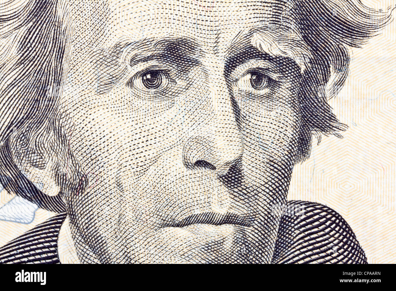 Macro of Andrew Jackson on the US twenty dollar bill Stock Photo Alamy